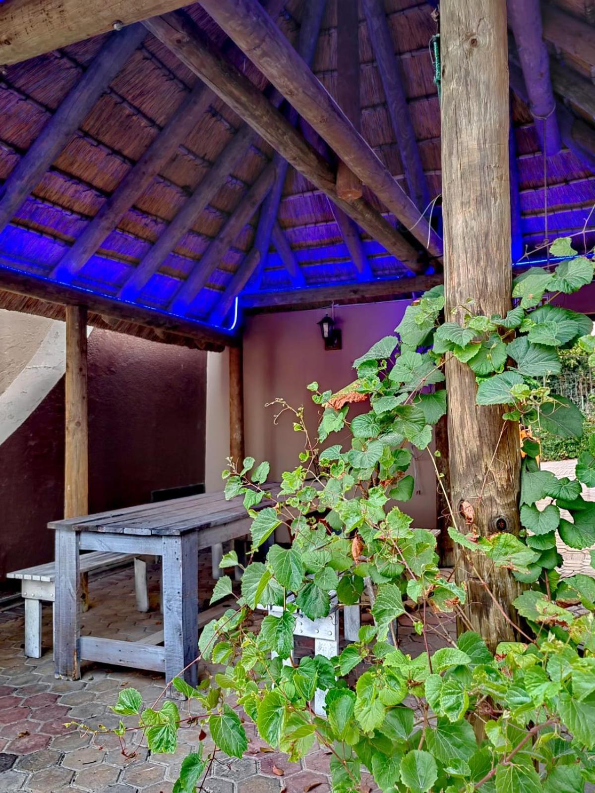 Aviators Paradise Guest House 莫塞尔湾 外观 照片